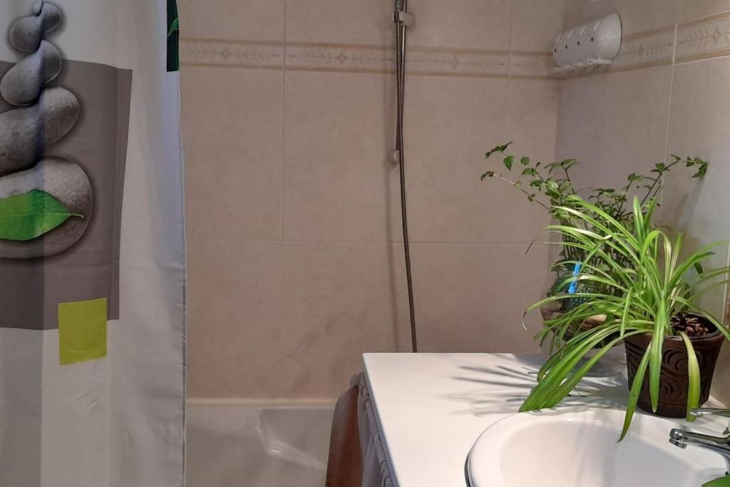 Le Chausse A Bres Chambre D'Hotes 2 Payzac  Exteriér fotografie